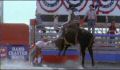 dr dolittle 3-avi_1000_225.jpg